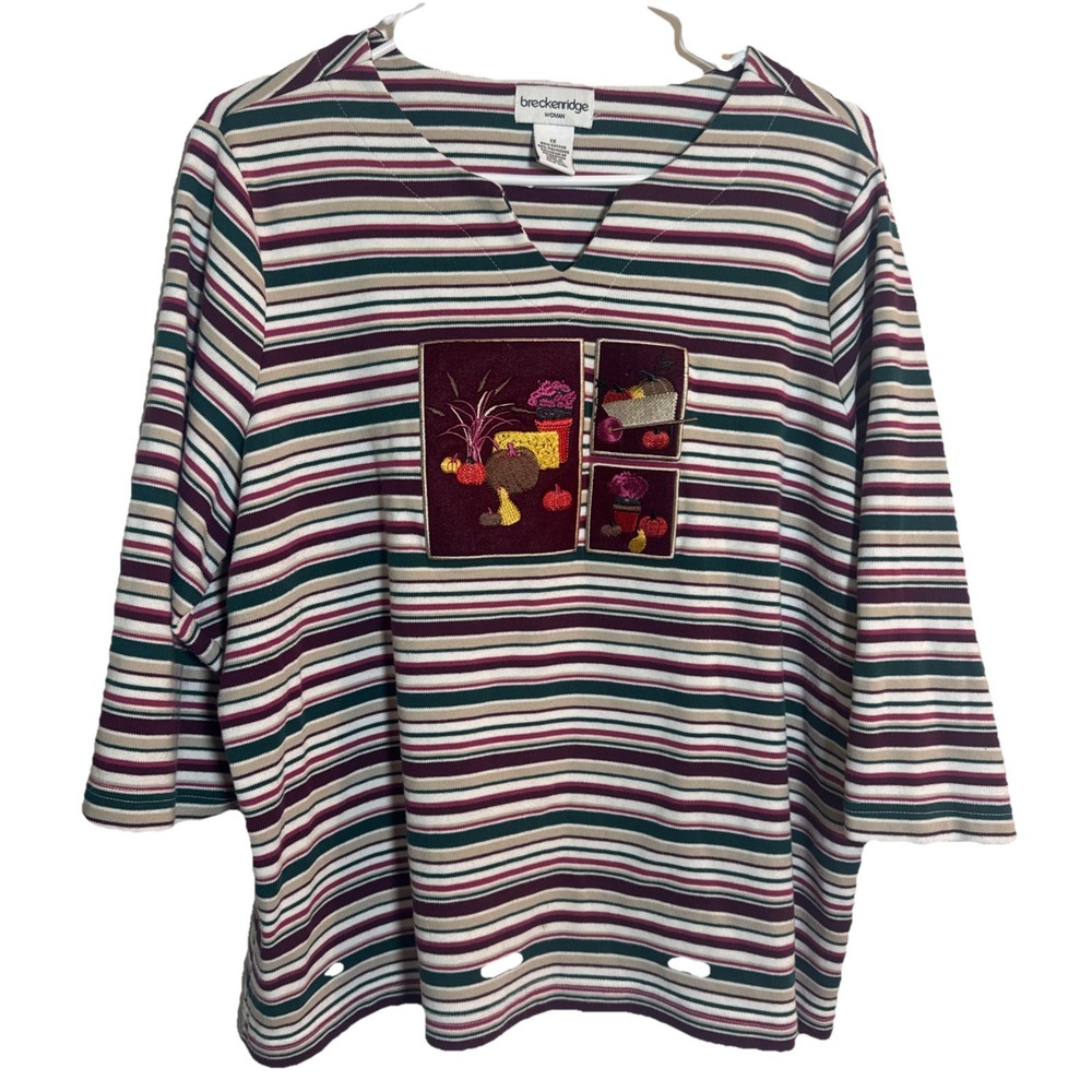 Breckenridge Woman 1X Striped Embroidered Harvest Fall Top 3/4 Sleeve Cotton Bld